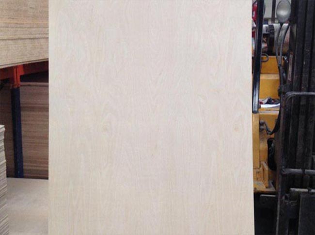 birch plywood.jpg